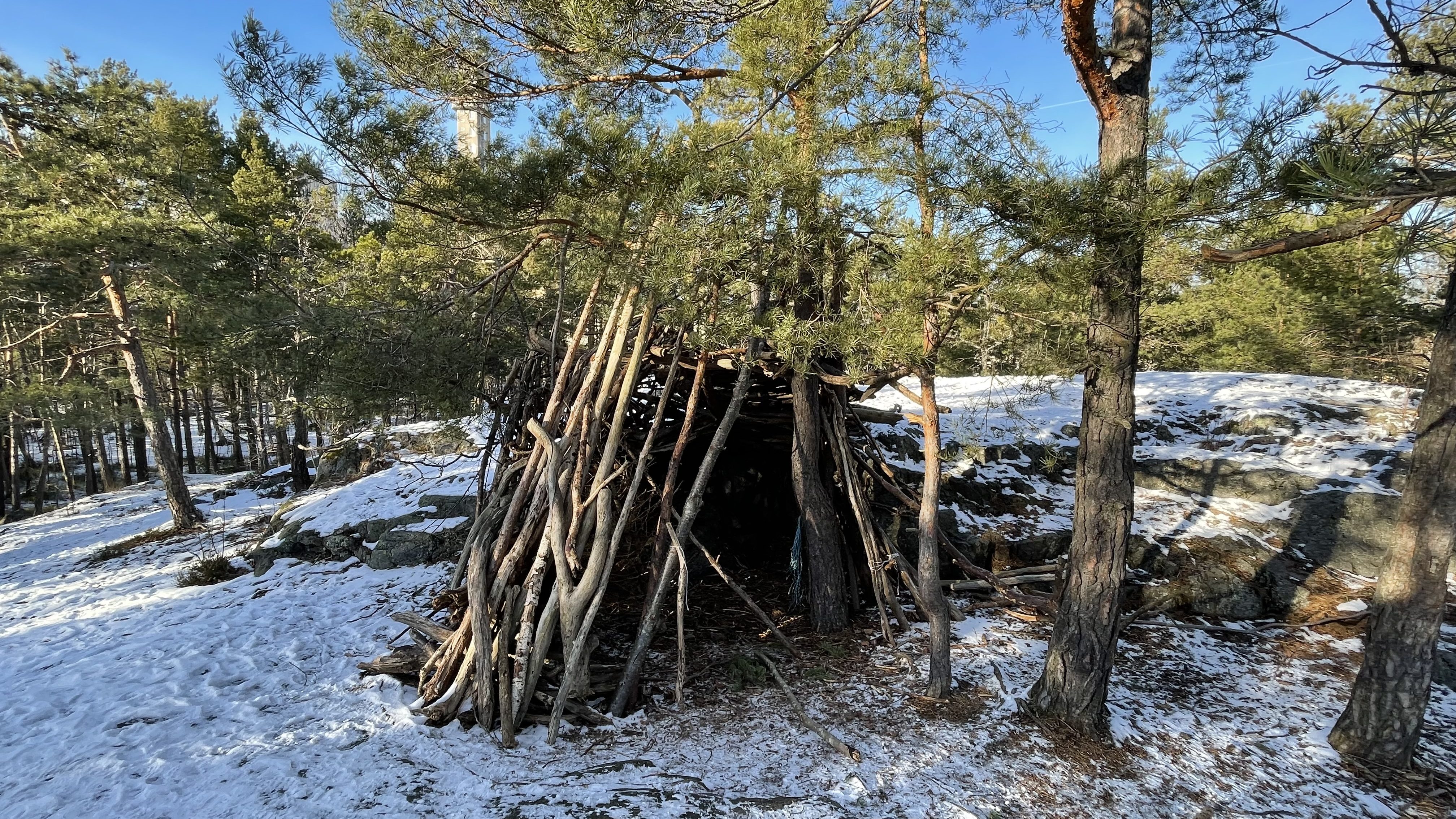 En av de kojor som barn byggt i Västbergaskogen av pinnar och grenar de samlat i skogen.